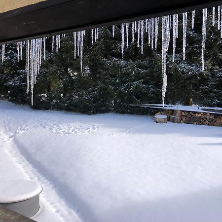 Apartman S Vyhledem Na Jezerni Stenu Železná Ruda Exterior foto