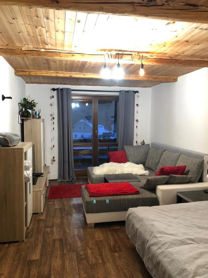 Apartman S Vyhledem Na Jezerni Stenu Železná Ruda Exterior foto