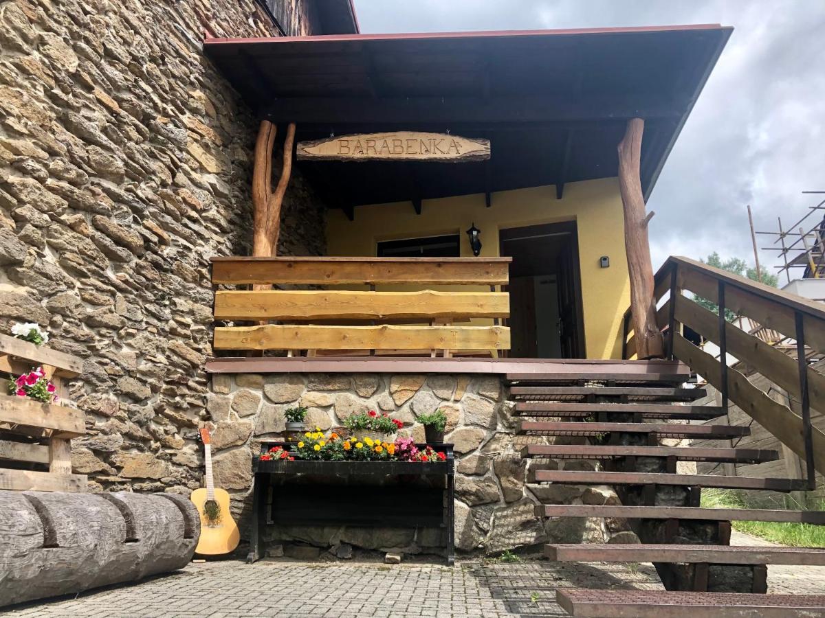 Apartman S Vyhledem Na Jezerni Stenu Železná Ruda Exterior foto