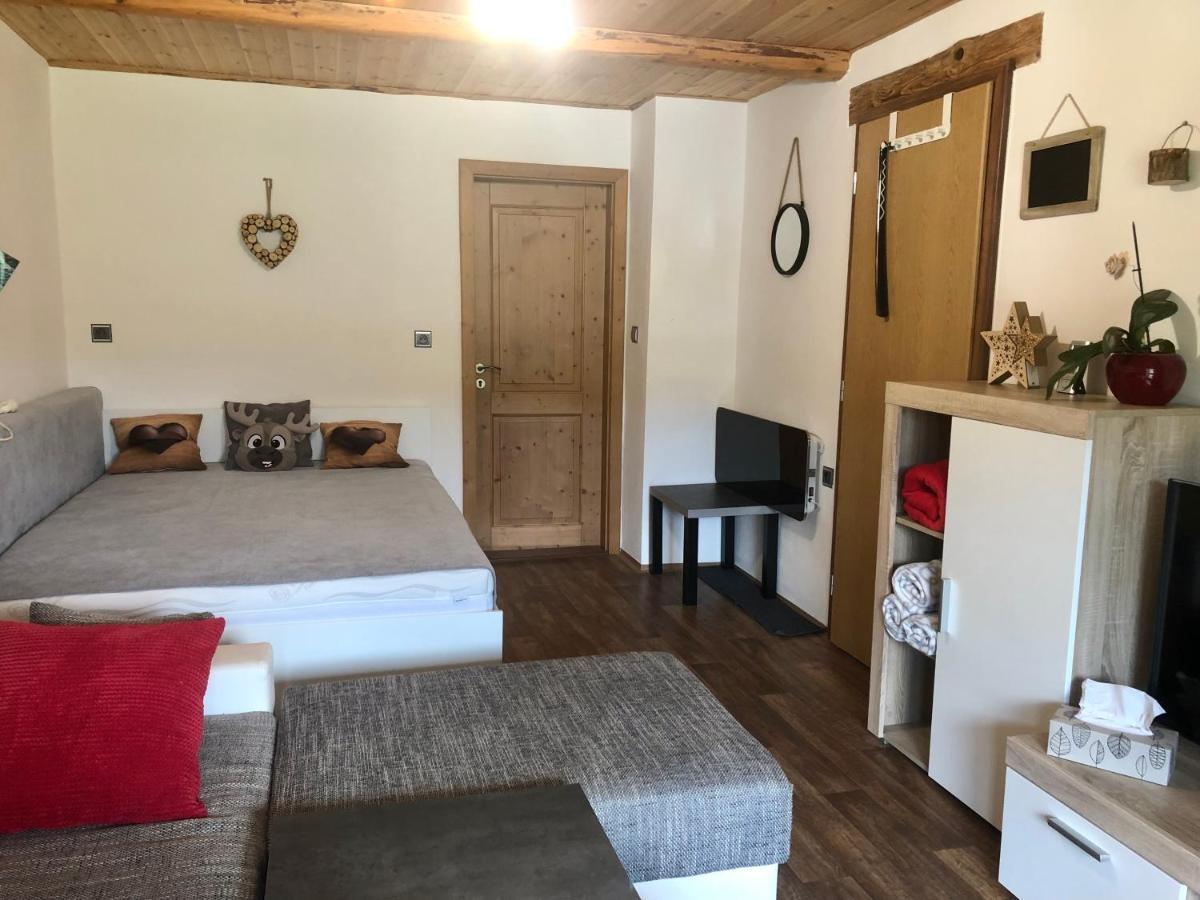 Apartman S Vyhledem Na Jezerni Stenu Železná Ruda Exterior foto
