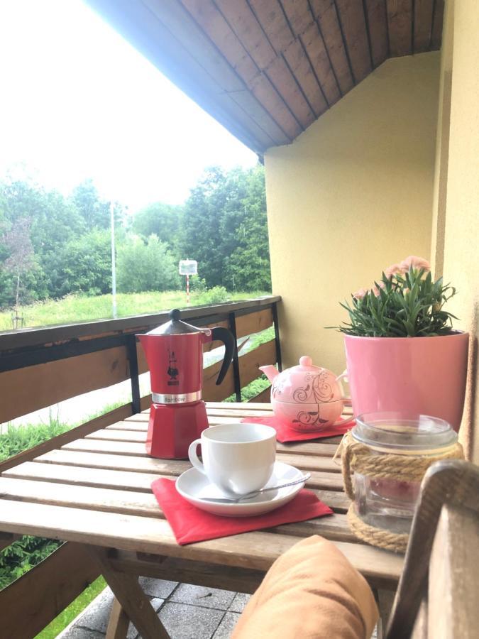 Apartman S Vyhledem Na Jezerni Stenu Železná Ruda Exterior foto
