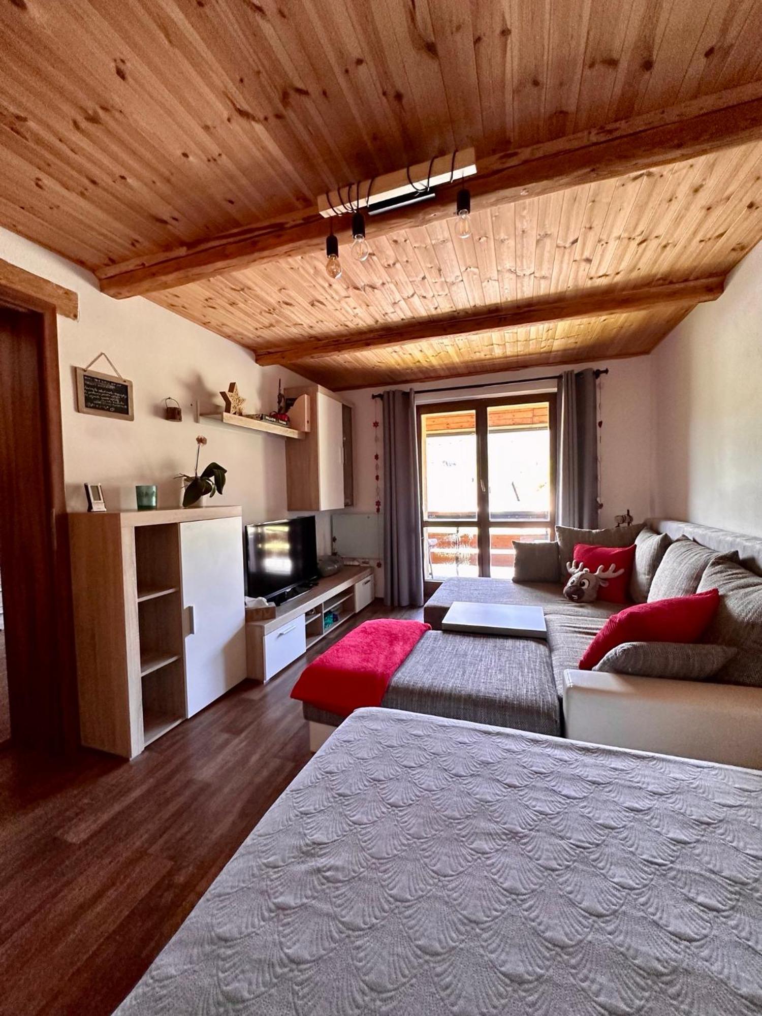 Apartman S Vyhledem Na Jezerni Stenu Železná Ruda Exterior foto